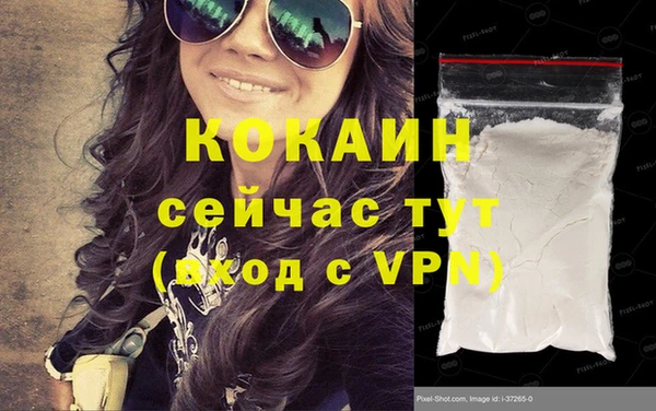 стаф Козловка