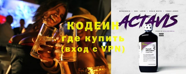 стаф Козловка