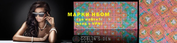 стаф Козловка