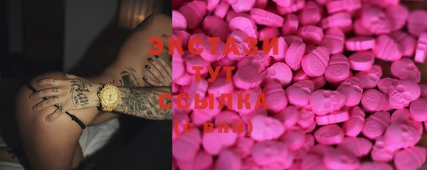 стаф Козловка