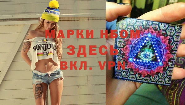 стаф Козловка