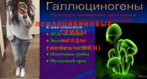 стаф Козловка