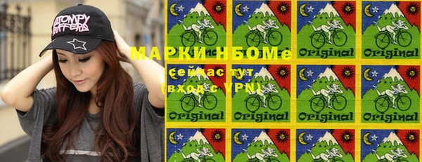 стаф Козловка