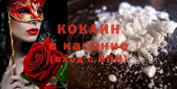 ГАЛЛЮЦИНОГЕННЫЕ ГРИБЫ Корсаков