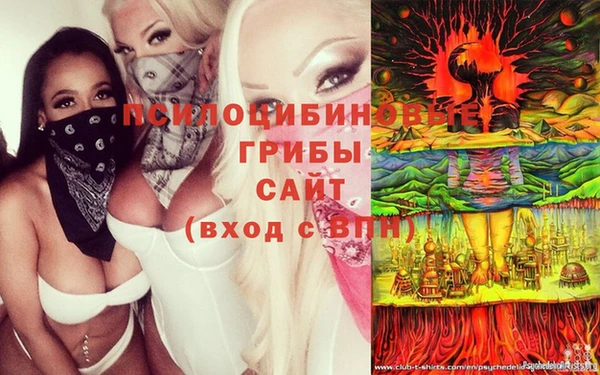 ГАЛЛЮЦИНОГЕННЫЕ ГРИБЫ Корсаков