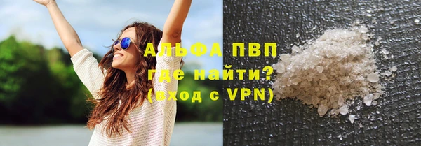 СК Ветлуга