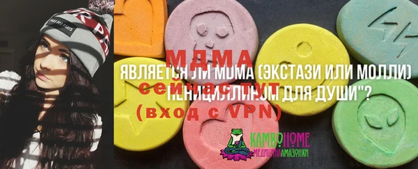 стаф Козловка