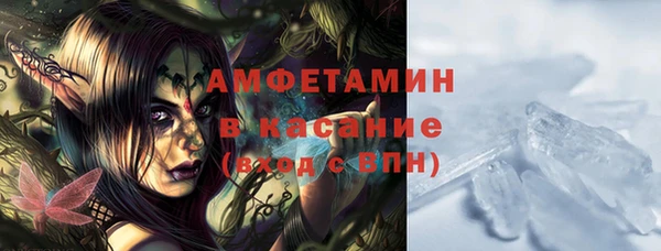 ГАЛЛЮЦИНОГЕННЫЕ ГРИБЫ Корсаков