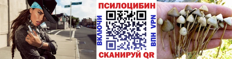Галлюциногенные грибы GOLDEN TEACHER  Кудрово 